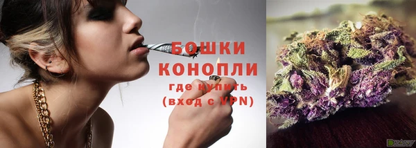 дживик Богородицк
